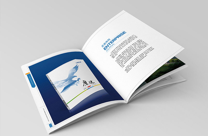 河南三鷹實業(yè)畫冊設計-8